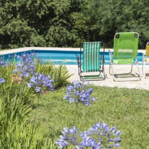 Silesia Pool Tech - Techniki Basenowe