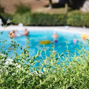 Silesia Pool Tech - Techniki Basenowe